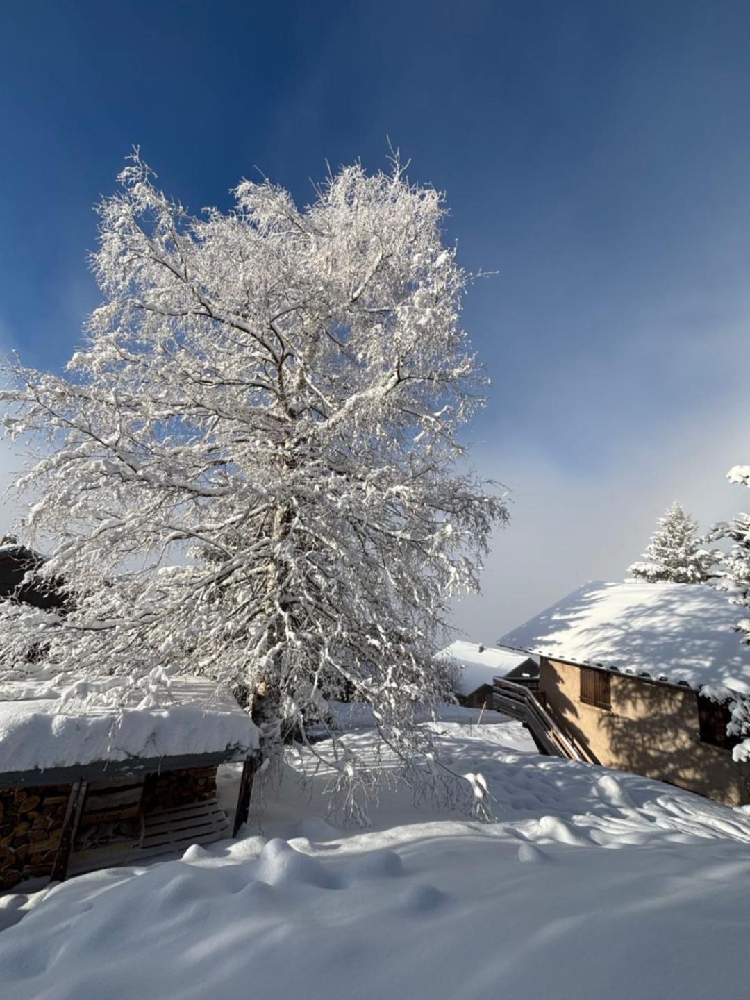 Chalet Rouge Ou Blanc Villard-Reculas Exterior foto
